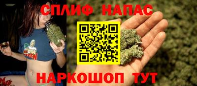 гидра Можга