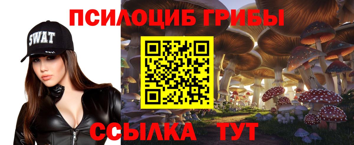 Галлюциногенные грибы Psilocybine cubensis  Псилоцибиновые грибы Psilocybe  Зерноград  хочу наркоту  Вход с VPN 
